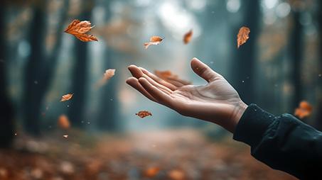 Impact vidéo réseaux sociaux